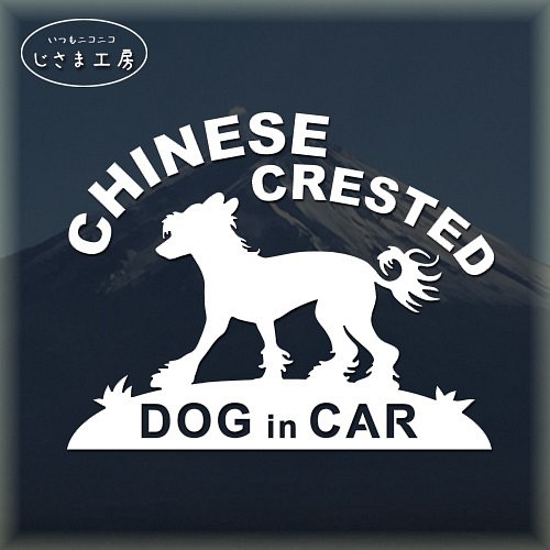 チャイニーズクレステッドドッグの白色シルエットステッカー　ドッグインカ― 1枚目の画像