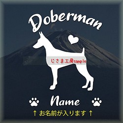 ドーベルマンのかわいい白色ステッカー!!アルファベット文字がかわいい‼お名前お入れします☆色の変更可能です。 1枚目の画像