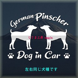 【同一犬種】　かわいい愛犬2頭飼い『Dog　in　Car』シルエットステッカー 1枚目の画像