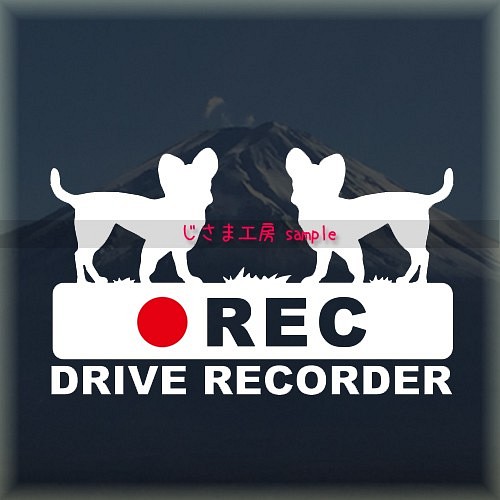 スムースチワワが2匹の白シルエットステッカー後方注意!!『DRIVE