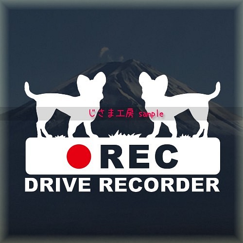 スムースチワワが2匹の白シルエットステッカー後方注意!!『DRIVE　RECORDER』 1枚目の画像