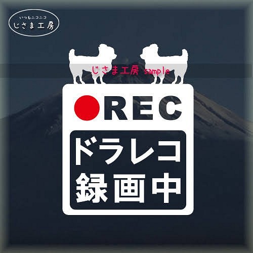 ロングコートチワワが2匹の白シルエットステッカー危険運転防止