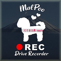 わんちゃんの可愛いドラレコステッカー!!『DRIVE　RECORDER』 1枚目の画像