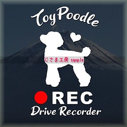 わんちゃんの可愛いドラレコステッカー!!『DRIVE　RECORDER』 1枚目の画像