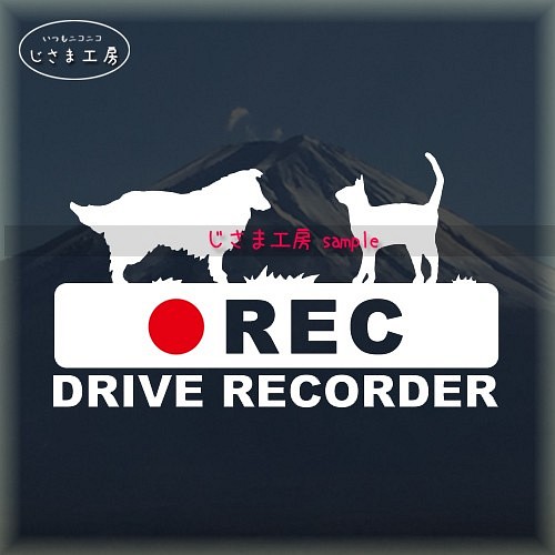 シェットランドシープドッグ＆ネコちゃんの白シルエットステッカー後方注意!!『DRIVE　RECORDER』 1枚目の画像