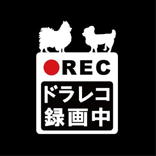 ドラレコ録画中ステッカー。犬 2頭飼い ポメラニアン＆ロング