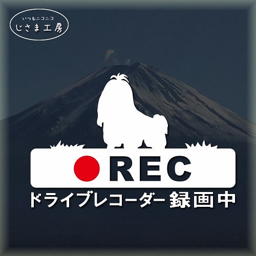 ちょんまげシーズーの白シルエットステッカー煽り運転防止!!ドライブ