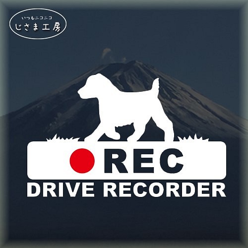 ジャックラッセルテリアの白シルエットステッカー後方注意!!『DRIVE　RECORDER』 1枚目の画像