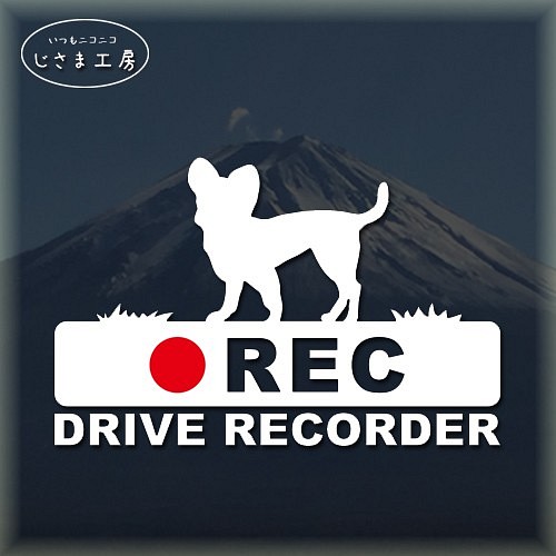 スムースチワワの白シルエットステッカー後方注意!!『DRIVE　RECORDER』 1枚目の画像