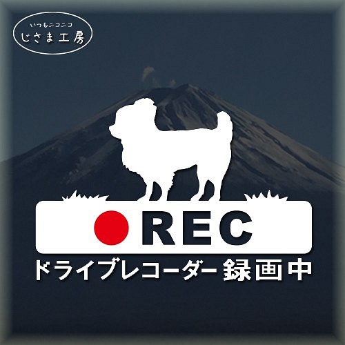 柴犬の白色シルエットステッカー煽り運転防止!!ドライブレコーダー録画