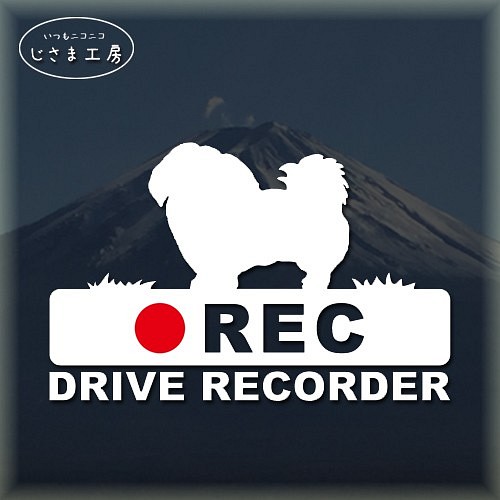 ペキニーズの白シルエットステッカー後方注意!!『DRIVE　RECORDER』 1枚目の画像