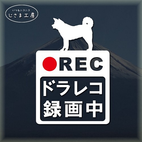 秋田犬の白色シルエットステッカー危険運転防止!!ドライブレコーダー録画中 1枚目の画像