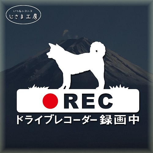 秋田犬の白色シルエットステッカー危険運転防止!!ドライブレコーダー録画中 1枚目の画像