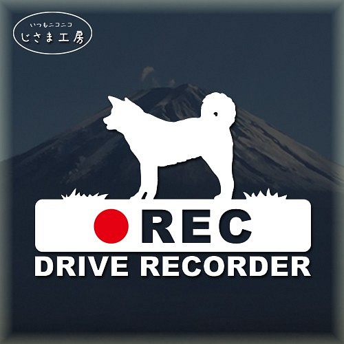 秋田犬の白シルエットステッカー後方注意!!『DRIVE　RECORDER』 1枚目の画像