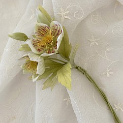 ホワイト クリスマスローズ 布花のコサージュ 1枚目の画像