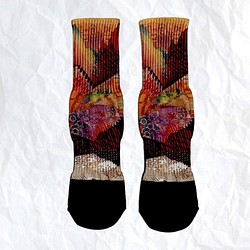 ♦Myhoho♦潮流男女休閒襪運動襪♦限量設計♦中筒襪子 厚實 滿額免運 第1張的照片