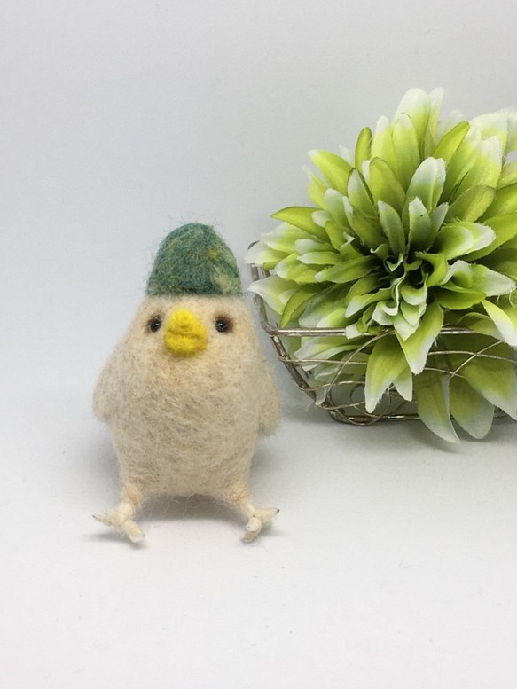 羊毛フェルト　帽子鳥（緑とんがり帽noお座りバージョン） 1枚目の画像