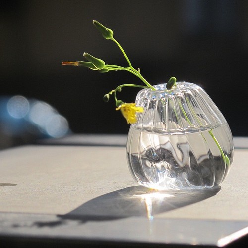 ガラスの小さな小さな花瓶 アソート4つセット 一輪挿し 花瓶 花器 Ima イマ 通販 Creema クリーマ ハンドメイド 手作り クラフト作品の販売サイト