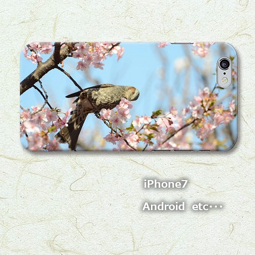 iPhone/Android スマホケース　河津桜とヒヨドリ 1枚目の画像