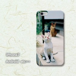 iPhon7  子猫のスマホケース　iPhone/Android 【送料無料 1枚目の画像