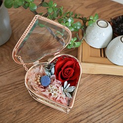《永生絲絨紅玫瑰雕刻珠寶禮盒》 第1張的照片