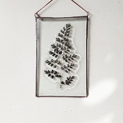 「Botanical Card/アジアンタム」　ガラス　植物標本　オーナメント 1枚目の画像