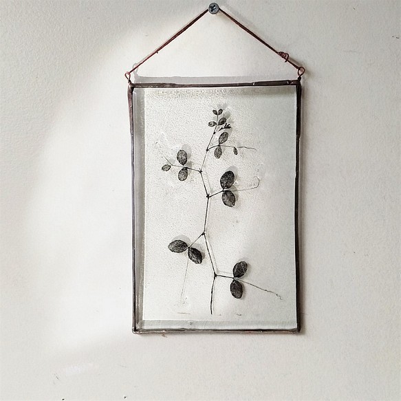 「Botanical Card/早春のカラスノエンドウ」ガラス　植物標本　オーナメント 1枚目の画像