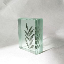 「Botanical Cube/イヌザンショウ」　ガラス　植物標本　ペーパーウェイト 1枚目の画像