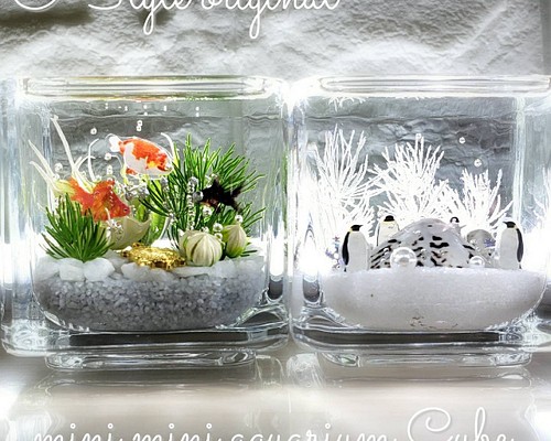 綺麗な 海ハーバリウム ～mini mini aquarium CUBE～ プリザーブド