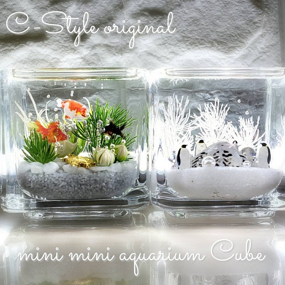 綺麗な 海ハーバリウム ～mini mini aquarium CUBE～ プリザーブド
