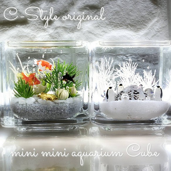 綺麗な 海ハーバリウム ～mini mini aquarium CUBE～-eastgate.mk