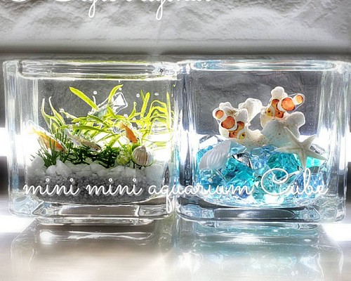 綺麗な 海ハーバリウム ～mini mini aquarium CUBE～-