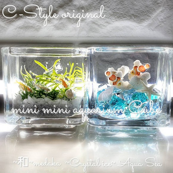 綺麗な 海ハーバリウム ～mini mini aquarium CUBE～ プリザーブド