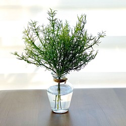 観葉植物を生けたアーティフィシャルグリーン花器付きセット〜毎日に瑞々しさを〜 1枚目の画像