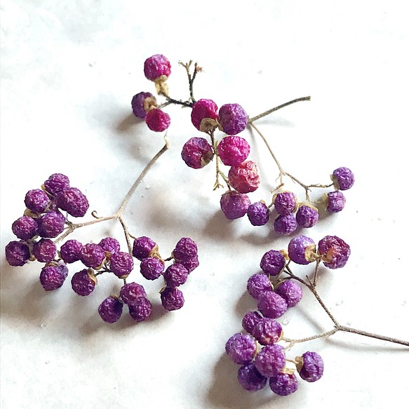 ムラサキシキブ 紫の実 小枝7 8本 ドライフラワー ハーバリウム スワッグ リース 素材