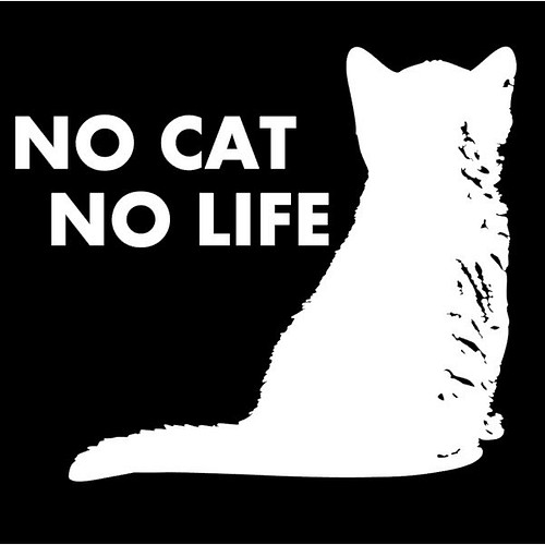 猫好き必見！ NO CAT NO LIFE カッティングステッカー シール