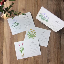 ボタニカルカレンダー2021 季節の花や実のカレンダー 1枚目の画像