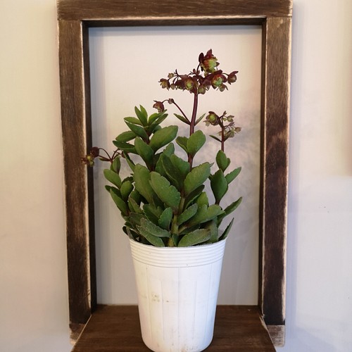 壁掛け花瓶置き 観葉植物も置けます ウォールデコ Kurkplantleather 通販 Creema クリーマ ハンドメイド 手作り クラフト作品の販売サイト