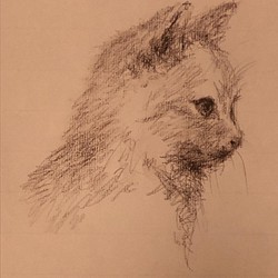 ペット 似顔絵　オーダーメイド 猫似顔絵 ペットポートレイト 1枚目の画像
