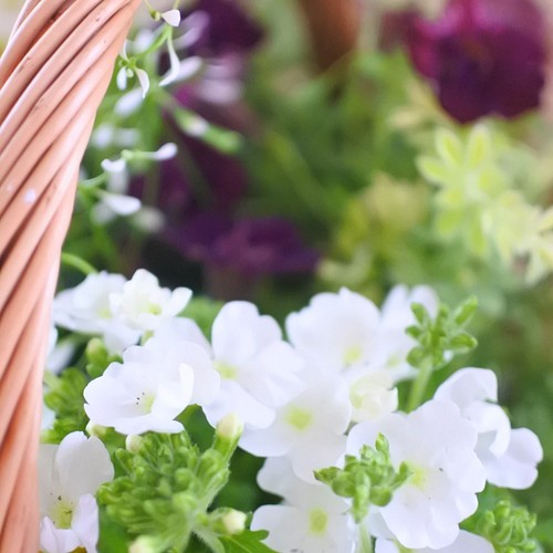 ペチュニアとカリブラコアとワイルドストロベリーのお花の寄せ植えバスケット 贈り物にも その他素材 Miiko S Garden 通販 Creema クリーマ ハンドメイド 手作り クラフト作品の販売サイト