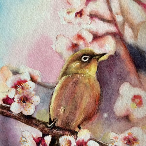 梅の花とメジロの水彩画 原画お渡し 送料、有料額装込み⭐️ 絵画 