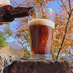 モンキーマウンテン　クラフトビール　Porter　ポーター　ABV(アルコール分) 5％ 　6本セット 1枚目の画像