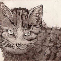 じっと見つめる　猫さんの銅版画 1枚目の画像