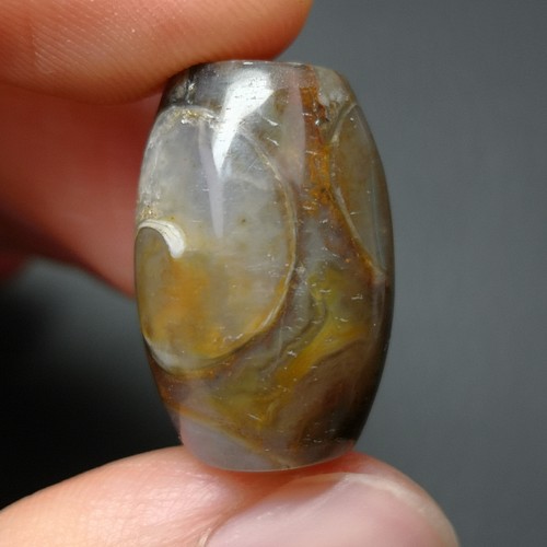c0104 希少 法螺天珠14×21ミリ 天然貝化石模様綺麗✨ 天然石 kitata 