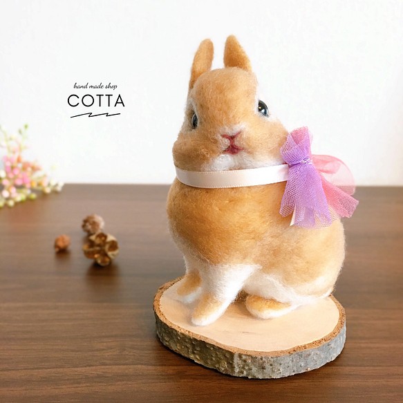 ネザーランドドワーフ うさぎ 羊毛フェルト 人形 羊毛フェルト cotta