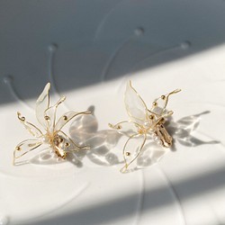 手作樹脂蝴蝶飛舞透明暈染白耳夾耳環 第1張的照片