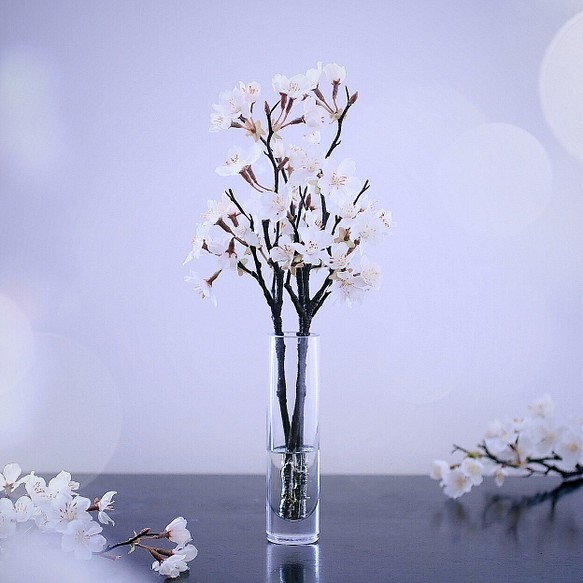 （水換え不要）ソメイヨシノ　しっとりお家でお花見♪　【桜の花瓶挿し】 1枚目の画像