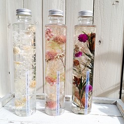 Herbarium -センニチコウ- (white/pink/rose) ・Lsize 1枚目の画像