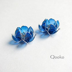 鮮やかな青い蓮の花 1枚目の画像