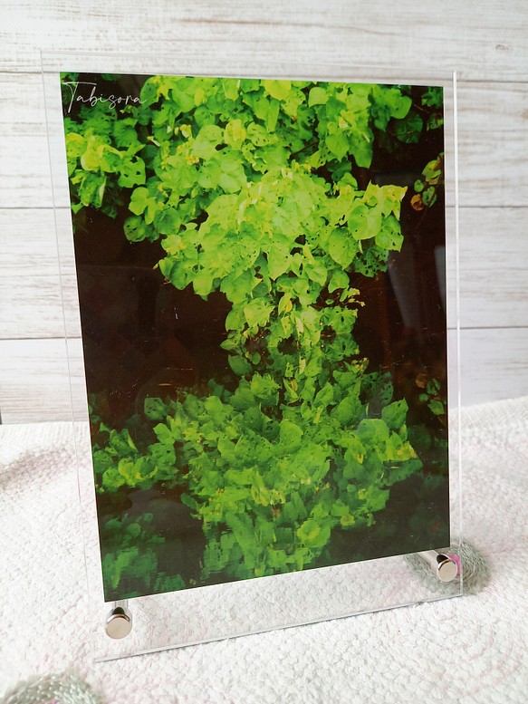 アクリルスタンド 緑×みどり 1枚目の画像